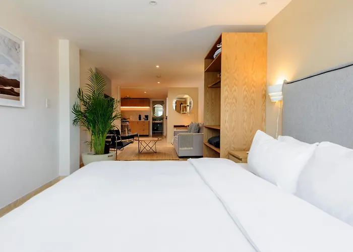 Roma 168 By Wynwood House Aparthotel Mexico City